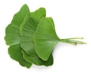 Gingko Biloba entra en Gluconol